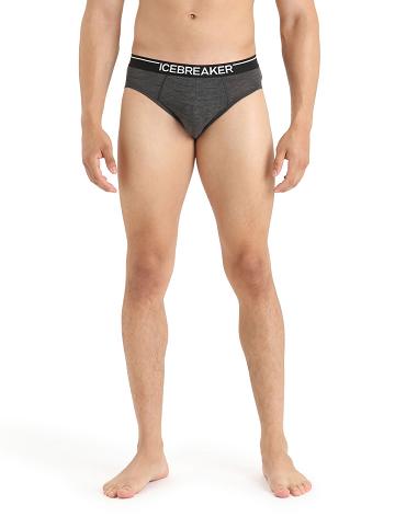 Men's Icebreaker Merino Anatomica Briefs Underwear Jet Heather | CA 1649TCEV